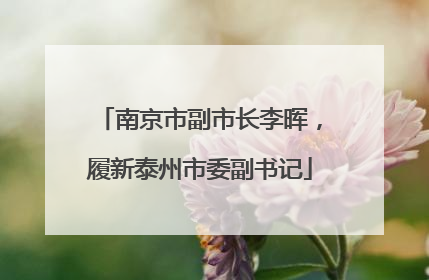 南京市副市长李晖，履新泰州市委副书记