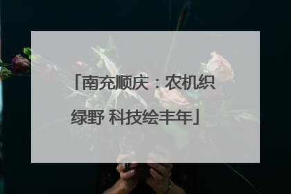 南充顺庆：农机织绿野 科技绘丰年