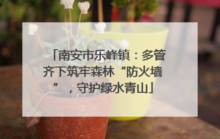 南安市乐峰镇：多管齐下筑牢森林“防火墙”，守护绿水青山