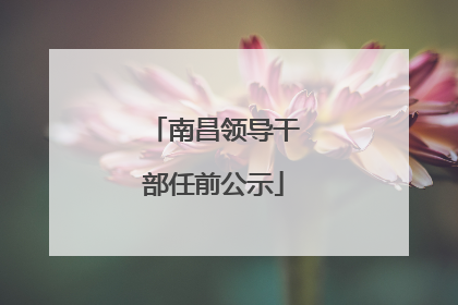 南昌领导干部任前公示