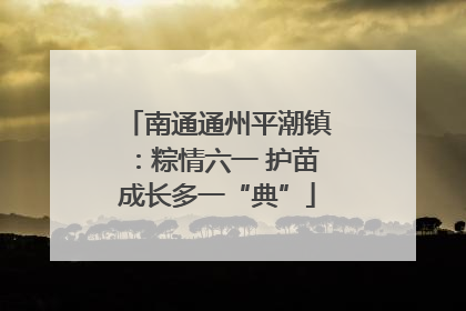 南通通州平潮镇：粽情六一 护苗成长多一“典”