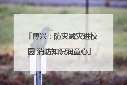 博兴：防灾减灾进校园 消防知识润童心
