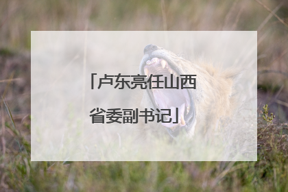 卢东亮任山西省委副书记