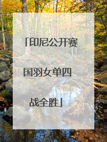 印尼公开赛 国羽女单四战全胜