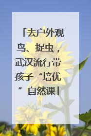 去户外观鸟、捉虫，武汉流行带孩子“培优”自然课