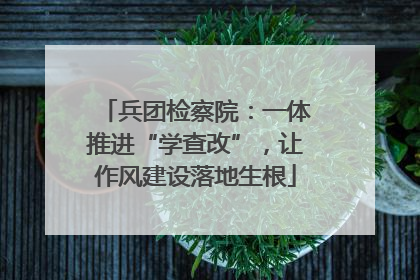 兵团检察院：一体推进“学查改”，让作风建设落地生根