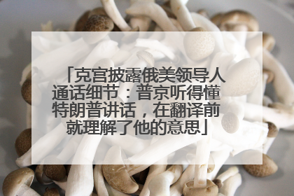 克宫披露俄美领导人通话细节：普京听得懂特朗普讲话，在翻译前就理解了他的意思