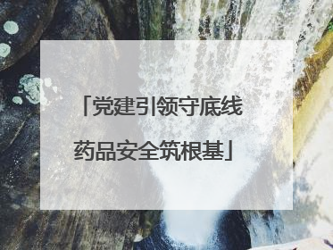 党建引领守底线 药品安全筑根基