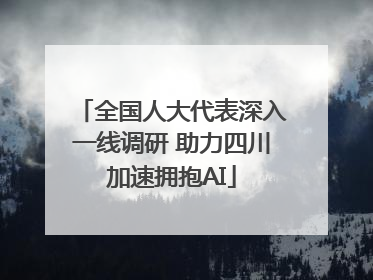 全国人大代表深入一线调研 助力四川加速拥抱AI