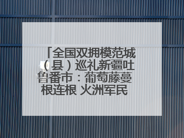全国双拥模范城（县）巡礼新疆吐鲁番市：葡萄藤蔓根连根 火洲军民心连心