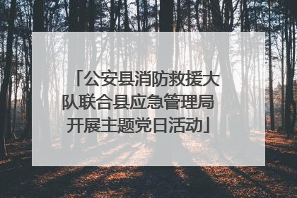 公安县消防救援大队联合县应急管理局开展主题党日活动