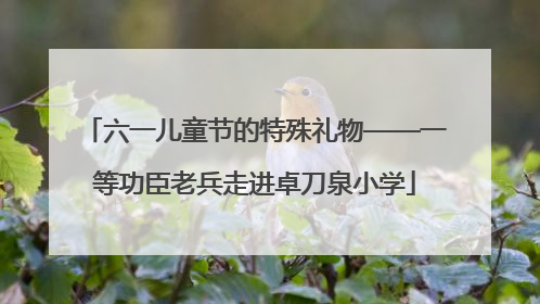 六一儿童节的特殊礼物——一等功臣老兵走进卓刀泉小学