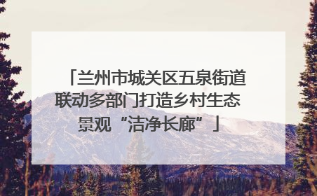 兰州市城关区五泉街道联动多部门打造乡村生态景观“洁净长廊”
