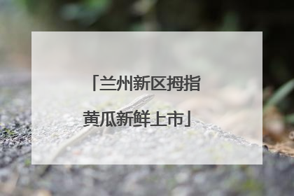 兰州新区拇指黄瓜新鲜上市