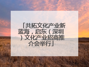 共拓文化产业新蓝海，启东（深圳）文化产业招商推介会举行
