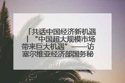 共话中国经济新机遇丨“中国超大规模市场带来巨大机遇”——访塞尔维亚经济部国务秘书尼科利奇
