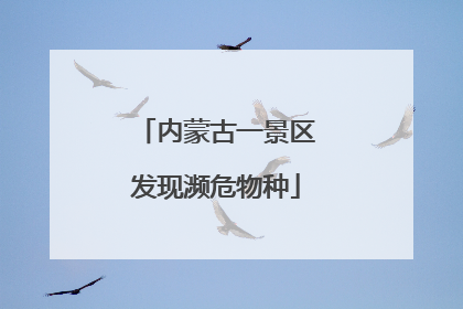 内蒙古一景区发现濒危物种