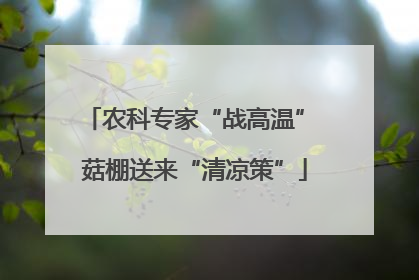 农科专家“战高温” 菇棚送来“清凉策”