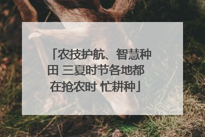 农技护航、智慧种田 三夏时节各地都在抢农时 忙耕种