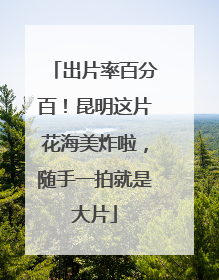 出片率百分百！昆明这片花海美炸啦，随手一拍就是大片
