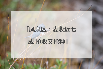 凤泉区：麦收近七成 抢收又抢种