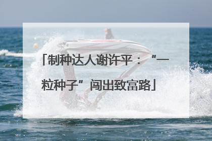 制种达人谢许平：“一粒种子”闯出致富路