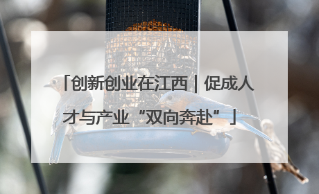 创新创业在江西｜促成人才与产业“双向奔赴”
