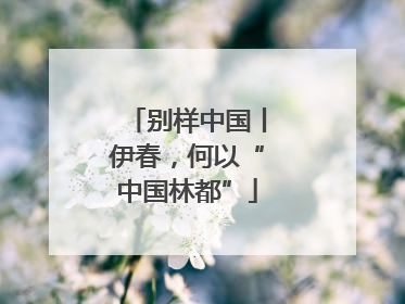 别样中国丨伊春，何以“中国林都”