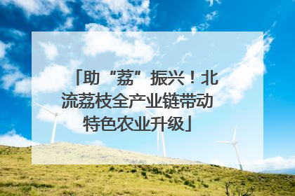 助“荔”振兴！北流荔枝全产业链带动特色农业升级