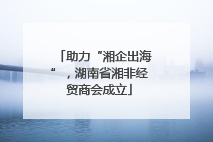 助力“湘企出海”，湖南省湘非经贸商会成立
