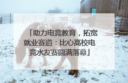 助力电竞教育，拓宽就业赛道：比心高校电竞水友赛圆满落幕
