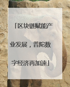 区块链赋能产业发展，普陀数字经济再加速