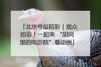 北京号最精彩｜观众招募！一起来 “胡同里的电影院”看动画