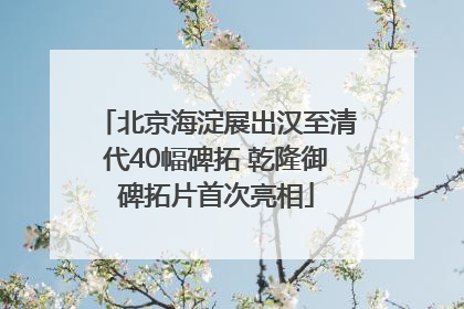 北京海淀展出汉至清代40幅碑拓 乾隆御碑拓片首次亮相