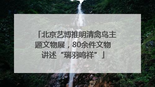 北京艺博推明清禽鸟主题文物展，80余件文物讲述“瑞羽鸣祥”