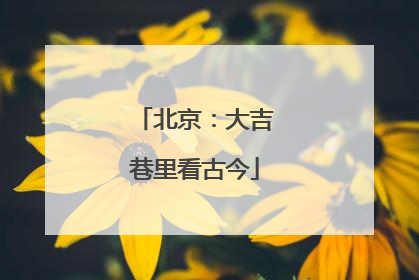 北京：大吉巷里看古今