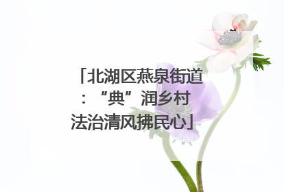 北湖区燕泉街道：“典”润乡村 法治清风拂民心