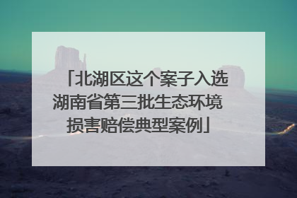 北湖区这个案子入选湖南省第三批生态环境损害赔偿典型案例