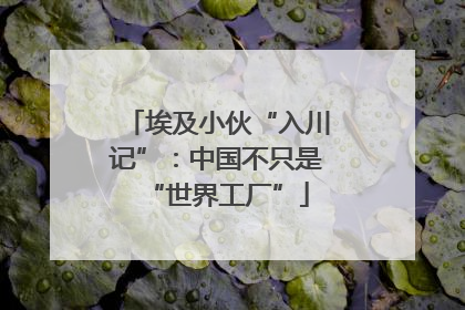 埃及小伙“入川记”：中国不只是“世界工厂”