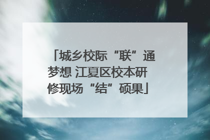 城乡校际“联”通梦想 江夏区校本研修现场“结”硕果