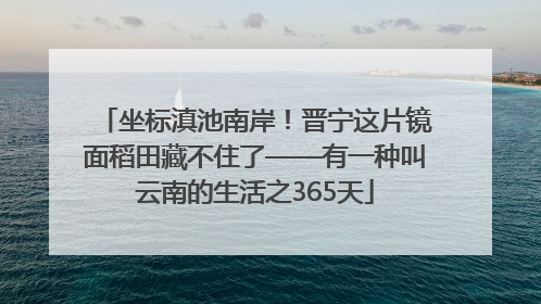 坐标滇池南岸！晋宁这片镜面稻田藏不住了——有一种叫云南的生活之365天