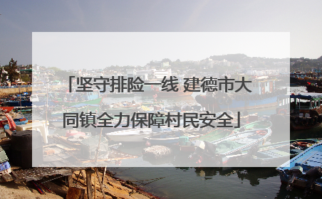 坚守排险一线 建德市大同镇全力保障村民安全