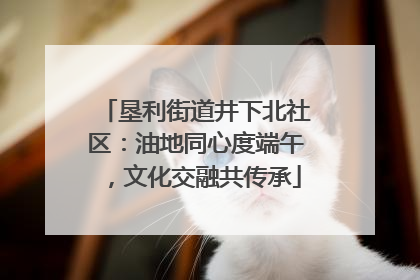 垦利街道井下北社区：油地同心度端午，文化交融共传承