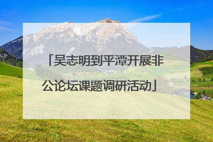 吴志明到平潭开展非公论坛课题调研活动
