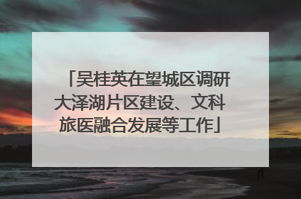 吴桂英在望城区调研大泽湖片区建设、文科旅医融合发展等工作