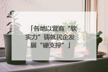 各地以营商“软实力”铸就民企发展“硬支撑”