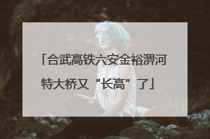 合武高铁六安金裕淠河特大桥又“长高”了