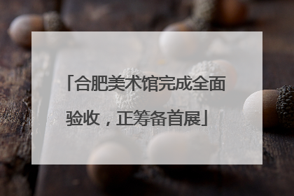 合肥美术馆完成全面验收，正筹备首展