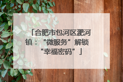 合肥市包河区淝河镇：“微服务”解锁“幸福密码”
