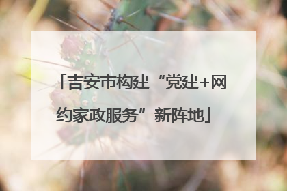 吉安市构建“党建+网约家政服务”新阵地